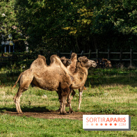 Le village de Janvry en Haute Vallée de Chevreuse  -  A7C0067