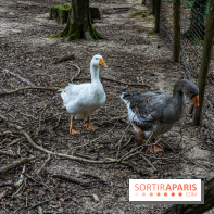 Le village de Janvry en Haute Vallée de Chevreuse  -  A7C0001