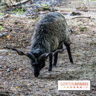 Le village de Janvry en Haute Vallée de Chevreuse  -  A7C9982