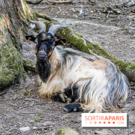 Le village de Janvry en Haute Vallée de Chevreuse  -  A7C0061