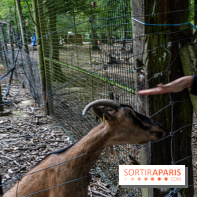 Le village de Janvry en Haute Vallée de Chevreuse  -  A7C9984