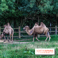 Le village de Janvry en Haute Vallée de Chevreuse  -  A7C9971