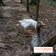 Le village de Janvry en Haute Vallée de Chevreuse  -  A7C0003