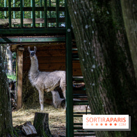 Le village de Janvry en Haute Vallée de Chevreuse  -  A7C0041