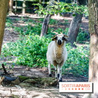 Le village de Janvry en Haute Vallée de Chevreuse  -  A7C0059