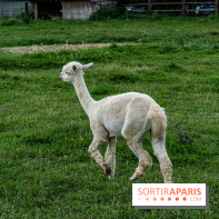 Le village de Janvry en Haute Vallée de Chevreuse  -  A7C9976