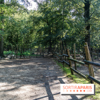 Le village de Janvry en Haute Vallée de Chevreuse  -  A7C0062