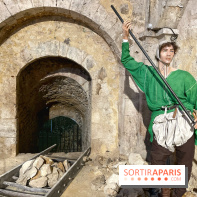 Provins, cité médiévale