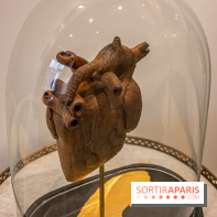 Exposition Organessence Ono galerie La Lison