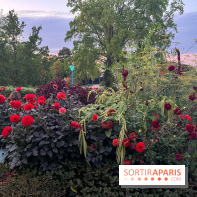 Festival Silhouette au parc de la Butte du Chapeau Rouge - image00008