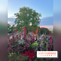 Festival Silhouette au parc de la Butte du Chapeau Rouge - image00006