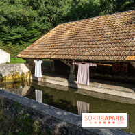 Folies lavoirs, les lavoirs des Yvelines et de la Vallée de Chevreuse accueillent l'art contemporain -  A7C0193