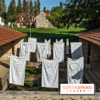 Folies lavoirs, les lavoirs des Yvelines et de la Vallée de Chevreuse accueillent l'art contemporain -  A7C0169