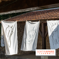 Folies lavoirs, les lavoirs des Yvelines et de la Vallée de Chevreuse accueillent l'art contemporain -  A7C0165