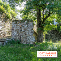 Village de Rochefort en Yvelines -  A7C0262