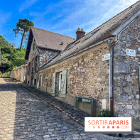 Village de Rochefort en Yvelines - IMG 0899