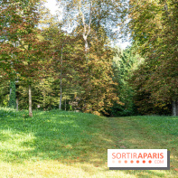 Village de Dampierre en Yvelines  -  A7C0145