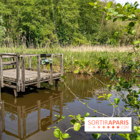 Village de Dampierre en Yvelines  -  Sentier de Maincourt