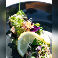 Le Son de la Terre - 53063165129 7c1dff3ab4 o