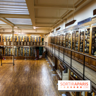 Musée des Moulages à Paris, nos photos - IMG 0826