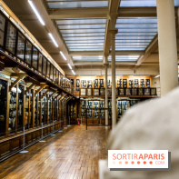 Musée des Moulages à Paris, nos photos - IMG 0845