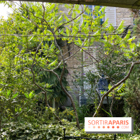 Le Petit Cormier, Montigny-sur-Loing - image00012