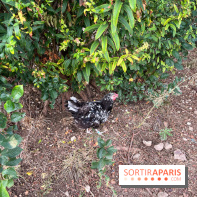 Le Grand Parc des Docks, à Saint-Ouen - image00227