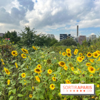 Le Grand Parc des Docks, à Saint-Ouen