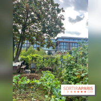 Le Grand Parc des Docks, à Saint-Ouen - image00220