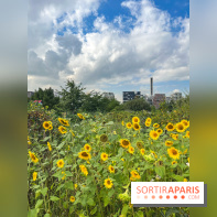 Le Grand Parc des Docks, à Saint-Ouen
