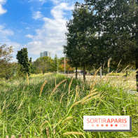 Le Grand Parc des Docks, à Saint-Ouen