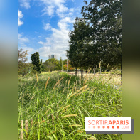 Le Grand Parc des Docks, à Saint-Ouen