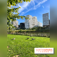 Le parc Martin Luther King