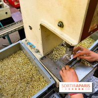 Maison Poursin - image00017