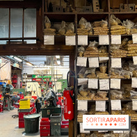 Maison Poursin - image00025