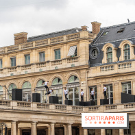 Horizon, le spectacle dans la cours du Palais Royal -  A7C0690
