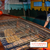 Fort Boyard Aventures à Vélizy 2 les rames