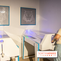 Fort Boyard Aventures à Vélizy 2