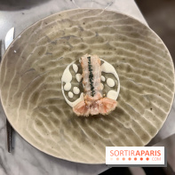 Tracé, Clément Vergeat - Queue de langoustine