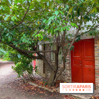 Fondation La Ruche - Seydoux - Cité d'artistes  - image00056