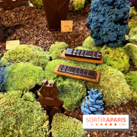 Alain Ducasse - Chocolats de Noël 2023 - 1C8D269F A4D5 4E19 A548 B3633784C155