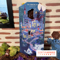Alain Ducasse - Chocolats de Noël 2023 - 5CC5701B C340 4C92 9702 617198931855