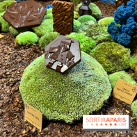 Alain Ducasse - Chocolats de Noël 2023 - 8BD9A8A5 B759 40A3 AD54 BDB4085896B4