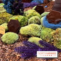 Alain Ducasse - Chocolats de Noël 2023 - 16C69F91 3DF8 4C50 91C9 D060A4D0ECC6