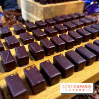 Alain Ducasse - Chocolats de Noël 2023 - 00817EE2 785D 442B A23E 8514DA957F4A