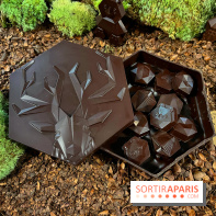 Alain Ducasse - Chocolats de Noël 2023 - FF7AC281 5BCF 4FB7 B9D6 B91F033AC06D
