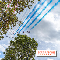 Patrouille de France  -  A7C1621