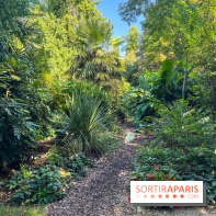 Parc de la butte du chapeau rouge - image00795