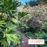 Parc de la butte du chapeau rouge - image00788