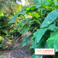 Parc de la butte du chapeau rouge - image00791